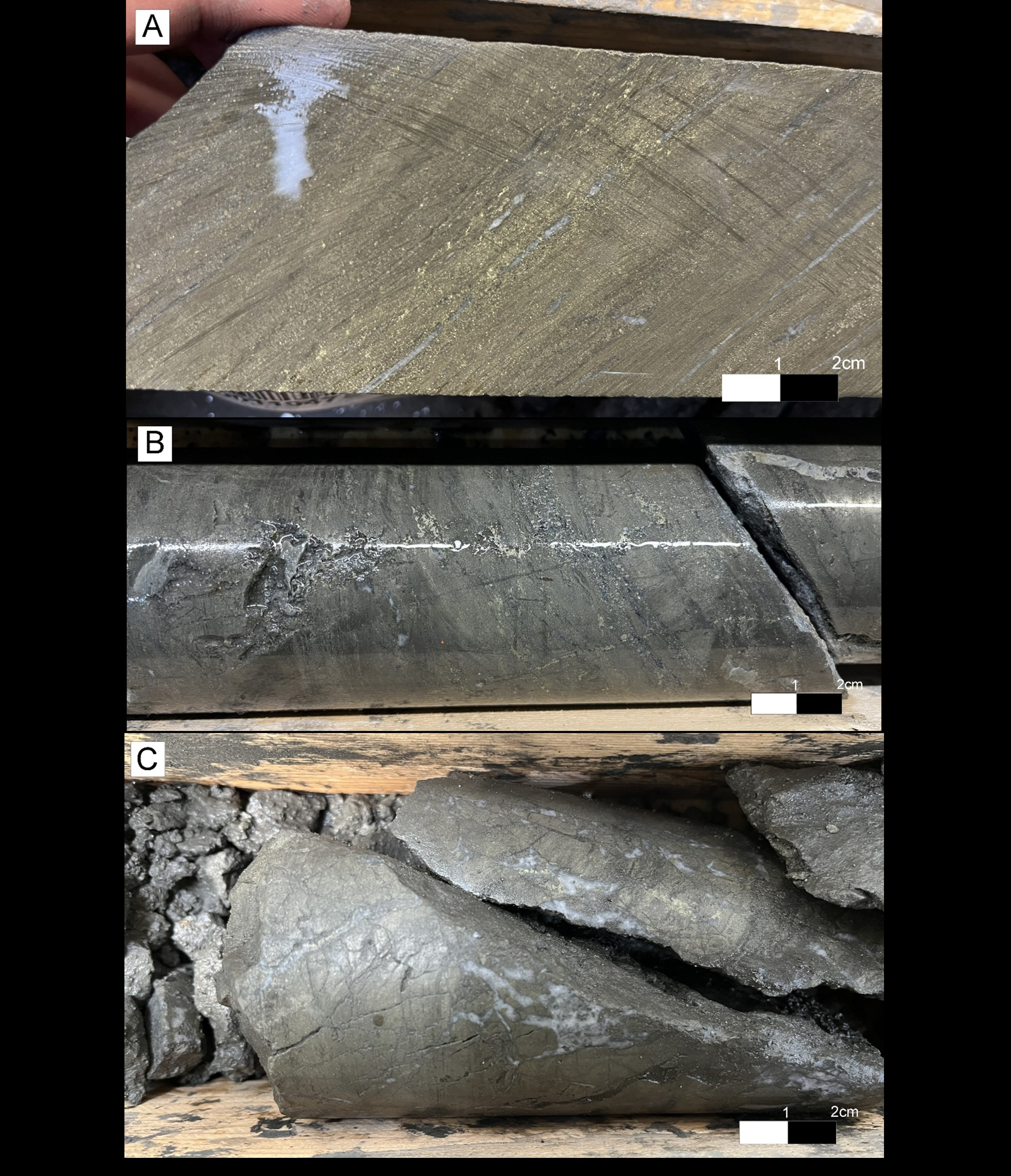 Figure 5 image