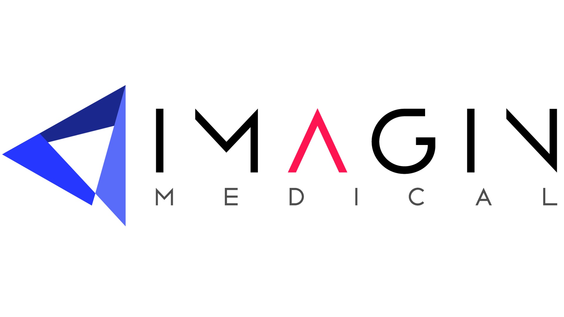 Imagin - NEW LOGO.jpg