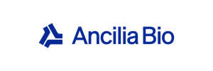 ancilia-logotype-decorative-no-r.png