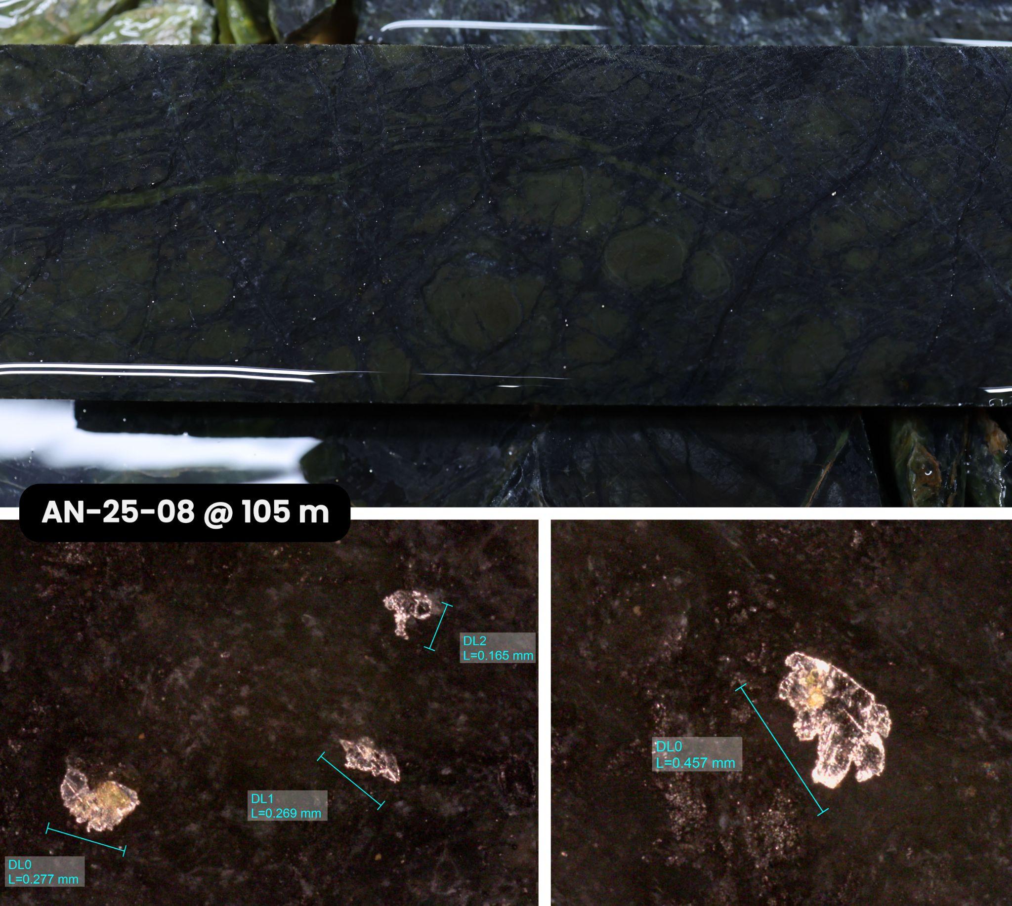 Figure 3 image