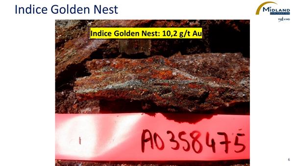 Figure 6 Indice Golden Nest