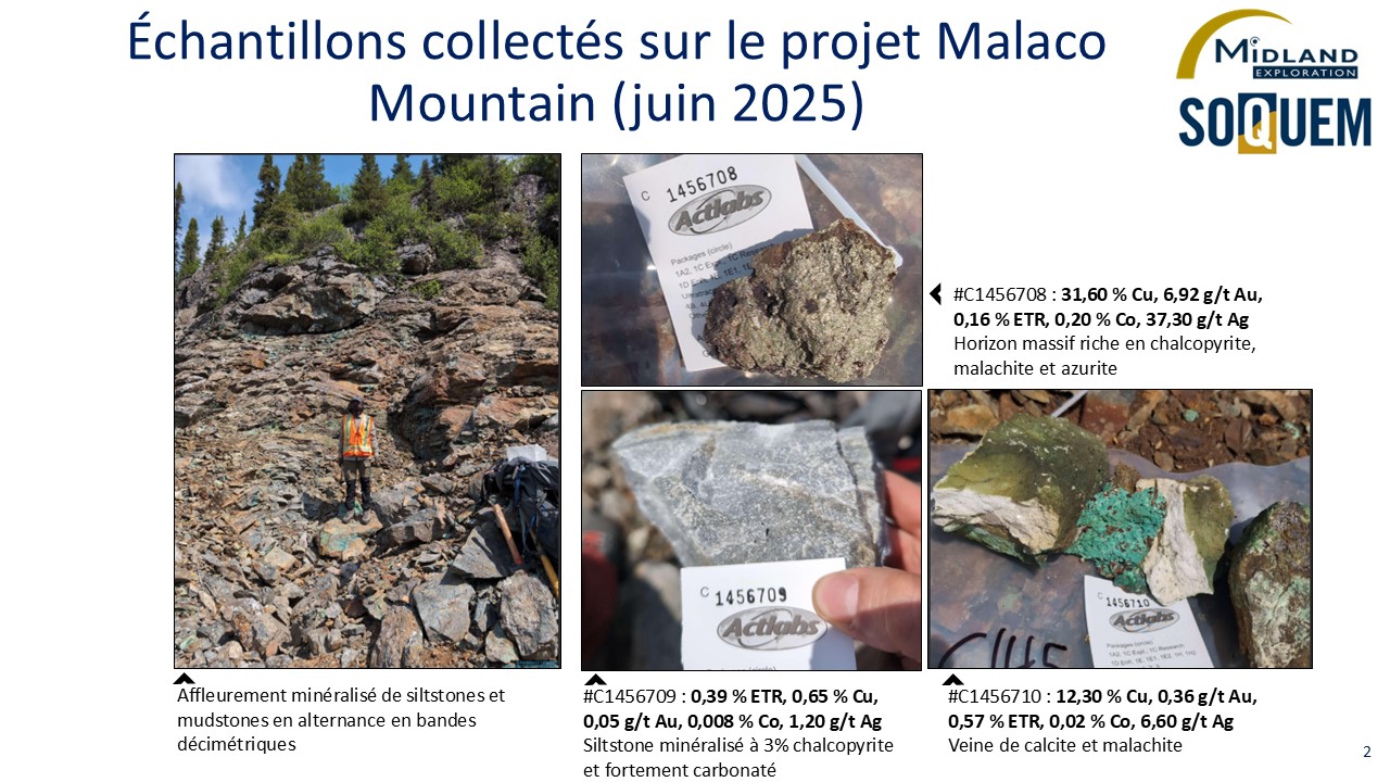 Figure 2 Échantillons collectés sur le projet Malaco Mountain (juin 2025)