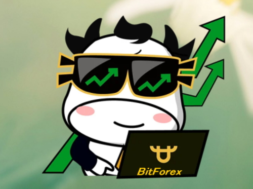 BitForex 