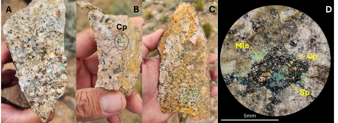 Figure 3 image