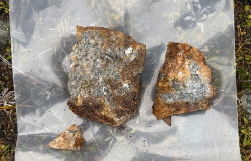 Figure 4: Float Sample G018713 – mineralized quartz vein with strong sulphide content (pyrite, galena, potential stibnite). The sample assayed 13 g/t Au, 151 g/t Ag, 0.18% Cu, and 1.10% Pb. image