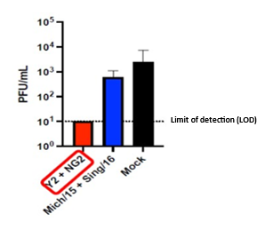 PDS0202 (Y2 + NG2 COBRA proteins) prevents viral replication in the lungs of ferrets after vaccination followed by viral challenge with A/Victoria/2570/2019 H1N1 flu strain (1e6 PFU/mL).  The quantity of H1N1 virus stays below the detection limits.  The vaccine based on the wild type HA (Mich/15 + Sing/16) and the control (Mock) do not effectively prevent replication and expansion of the H1N1 virus in the lungs of the ferrets.