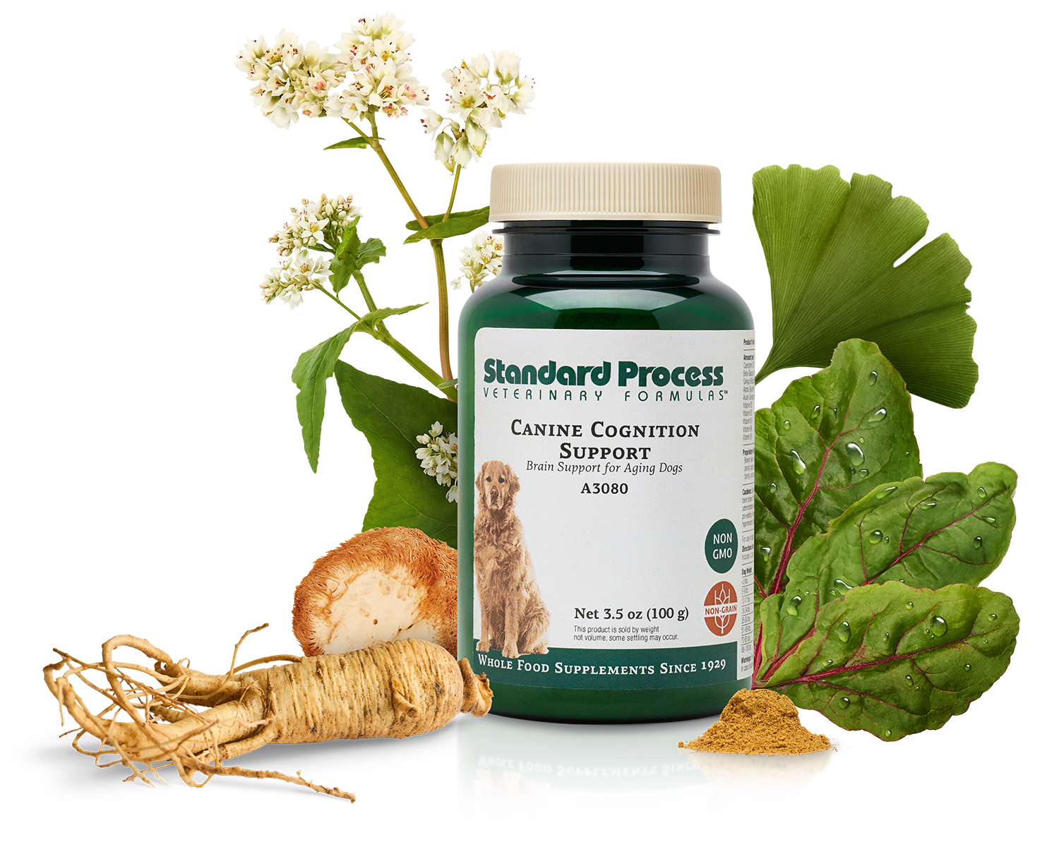 SP_CanineCognition_Comp_A_01