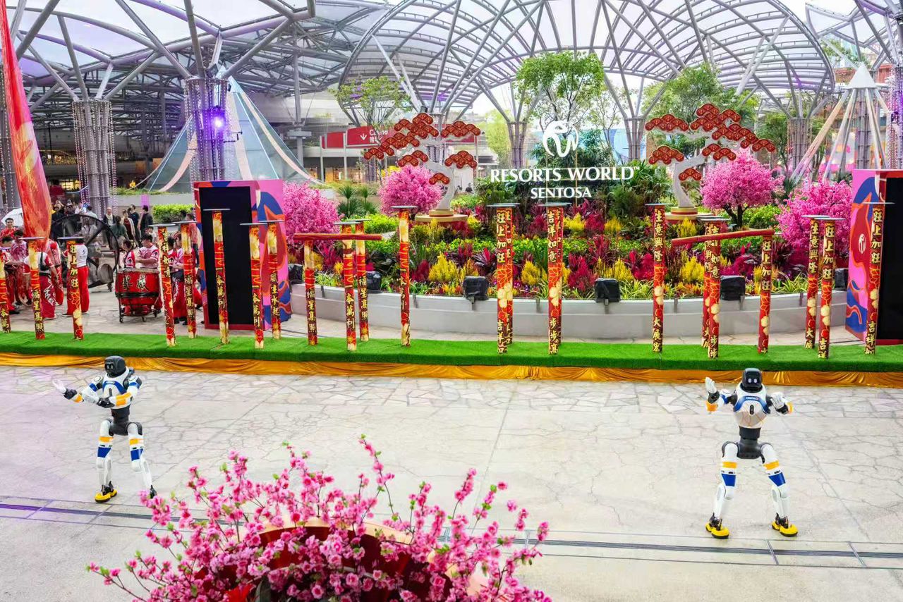 IMAGE 2 Sentosa Feb 17