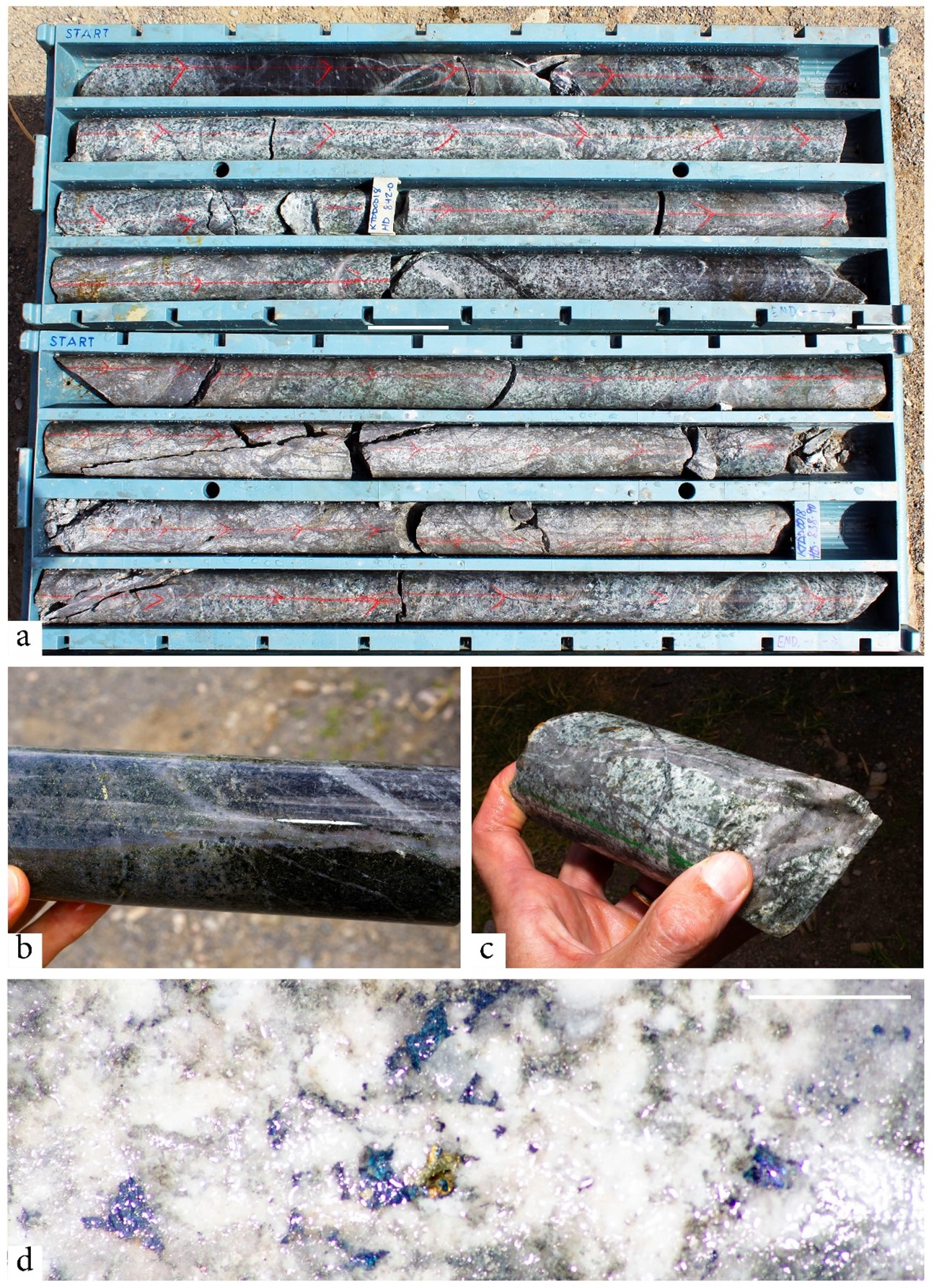 Figure 3 - Blue Lake Porphyry drill core - KTDD0018