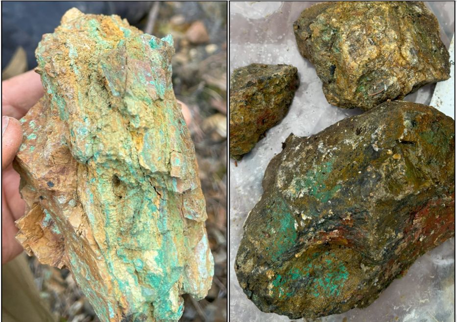 Photos of malachite mineralization along the contact between argillites and ultramafic rocks. Left: Grab sample from subcrop 1879956 assayed 23.71% Cu. Right: Grab sample from float 3831604 (~60 m southeast of sample 1879956) assayed 15.62% Cu.