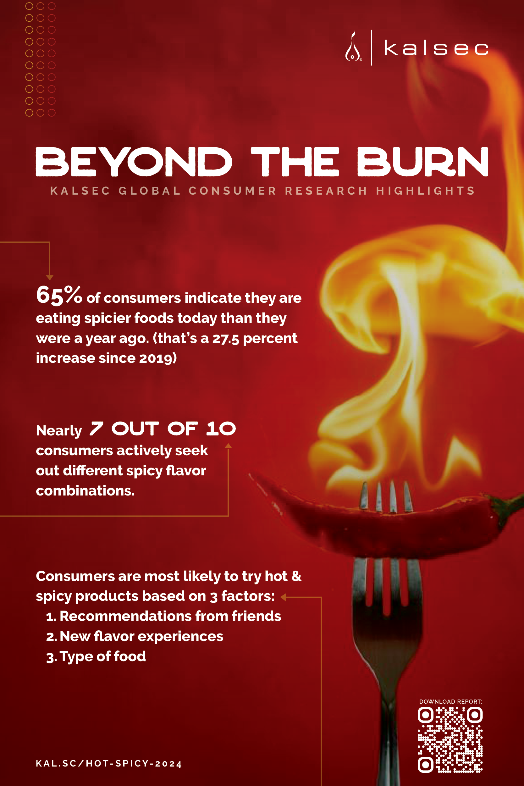 Kalsec Infographic Beyond The Burn