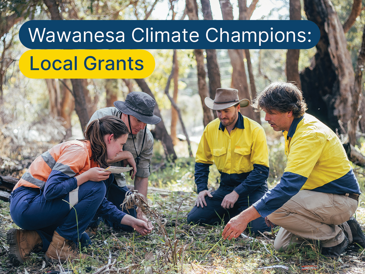 Local climate champions