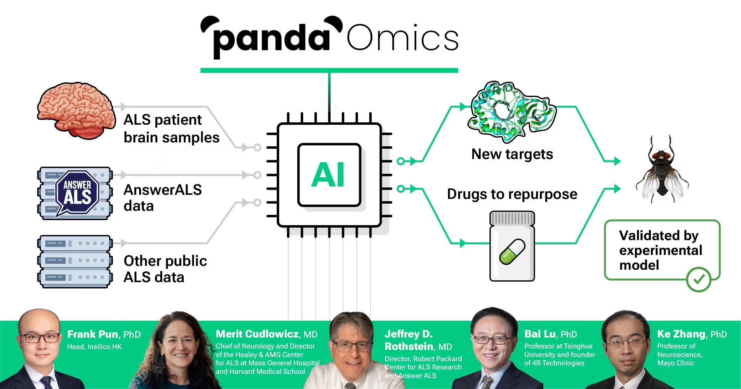 Discovering New Therapeutic Targets for ALS Using AI