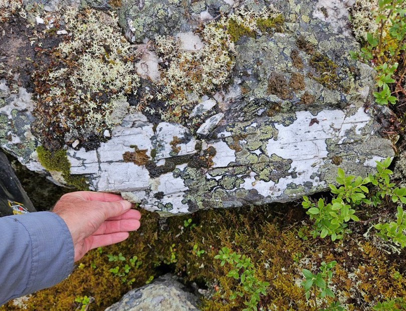 Another large, light-grey, prismatic spodumene crystal on the edge of an outcrop