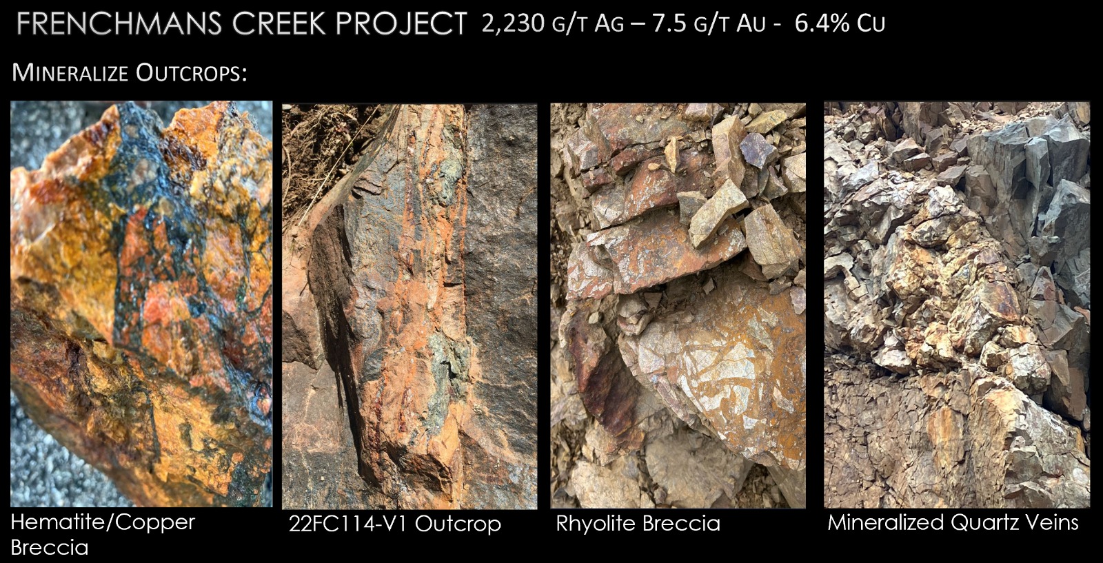 Figure 3 mineralized outcrops