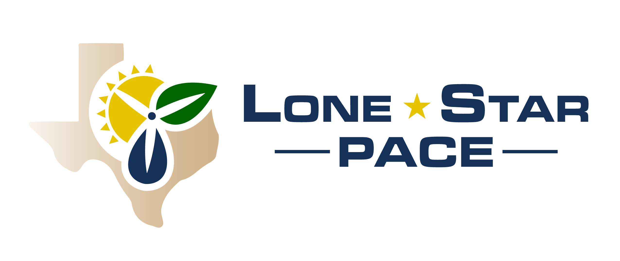 LSP_Logo_color.png