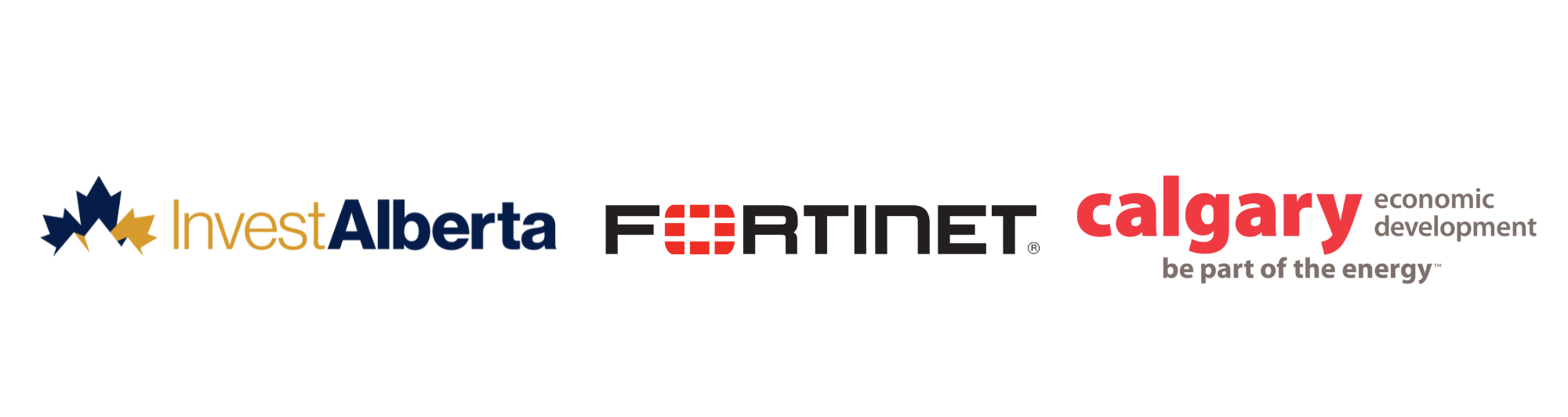 Fortinet invests $30