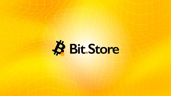 Bit.Store Logo.jpg