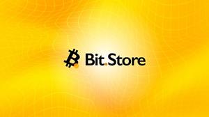Bit.Store Logo.jpg