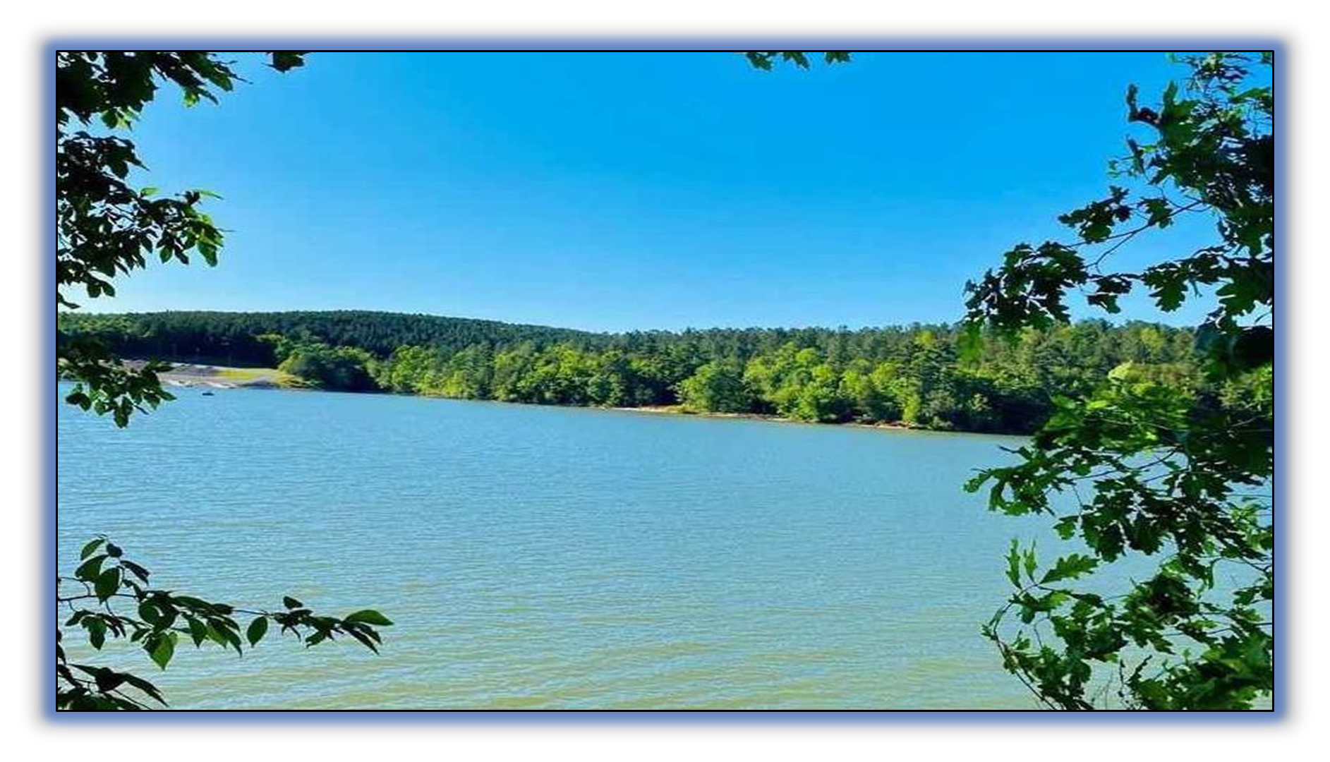 Majestic Group Project in North Carolina