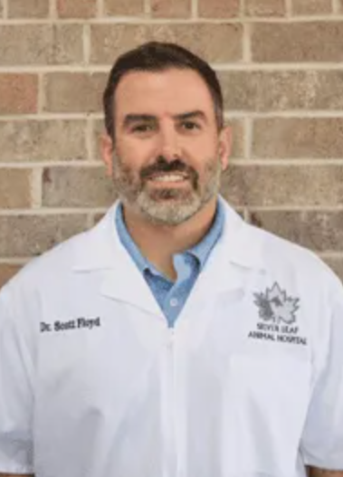 Veterinary Expert Dr. Scott Floyd of Moore Explains Causes of Dog Itching for HelloNation