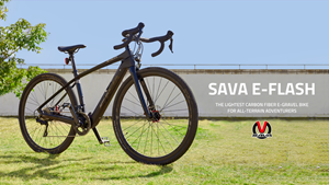 Featured Image for SAVA