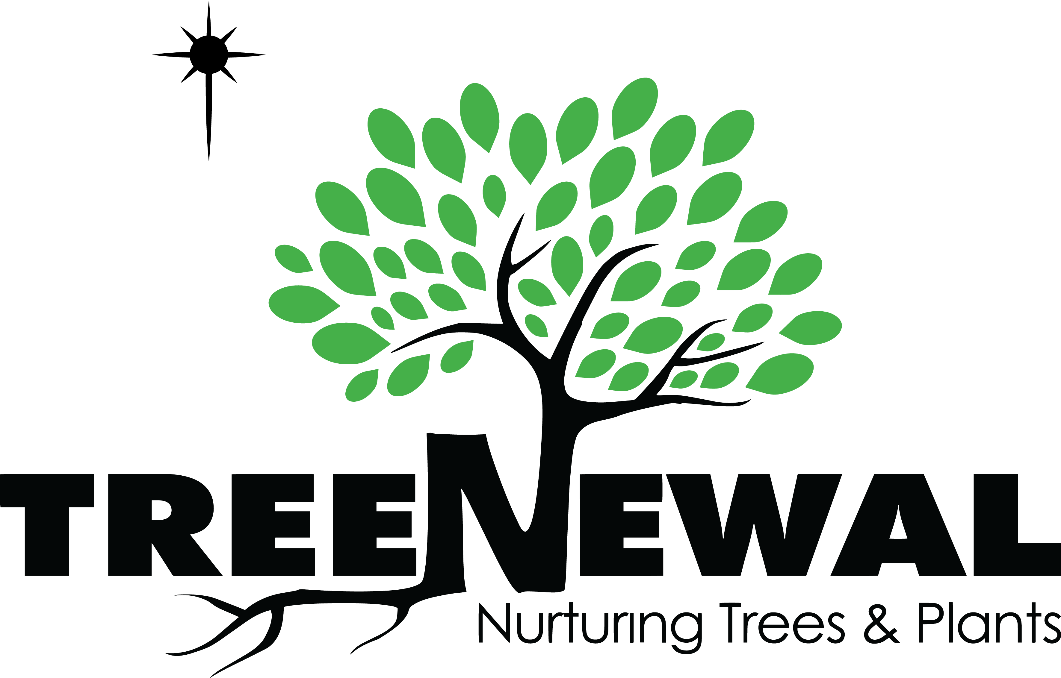 TreeNewal New Logo 2022