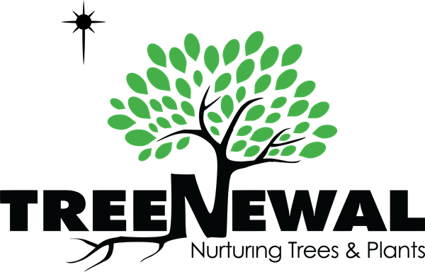 TreeNewal New Logo 2022
