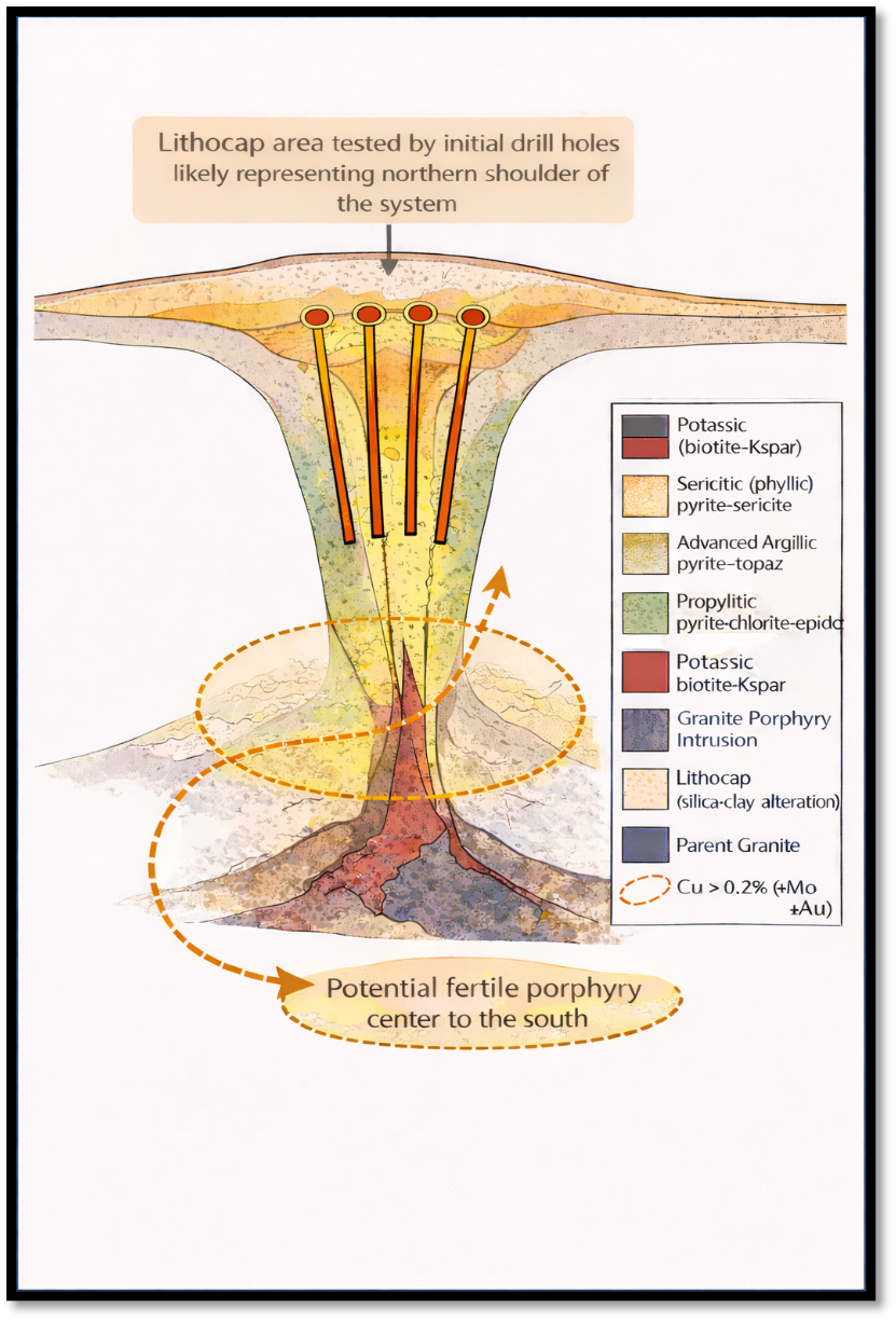 Figure 3 image