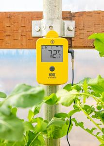 NODE Wi-Fi Temperature Monitor Watching Over the Temperatures in a Professional Greenhouse