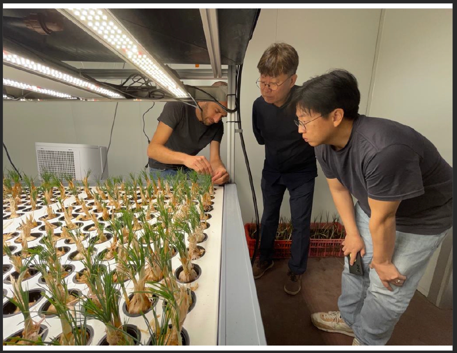 Saffron Tech's new investment agreement with Dreamtech Company will advance its R&D and allow the company to complete its protocol for growing saffron in indoor vertical farms.