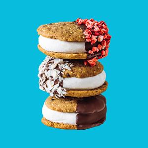 Dipped Ice Cream Cookie Sandwiches