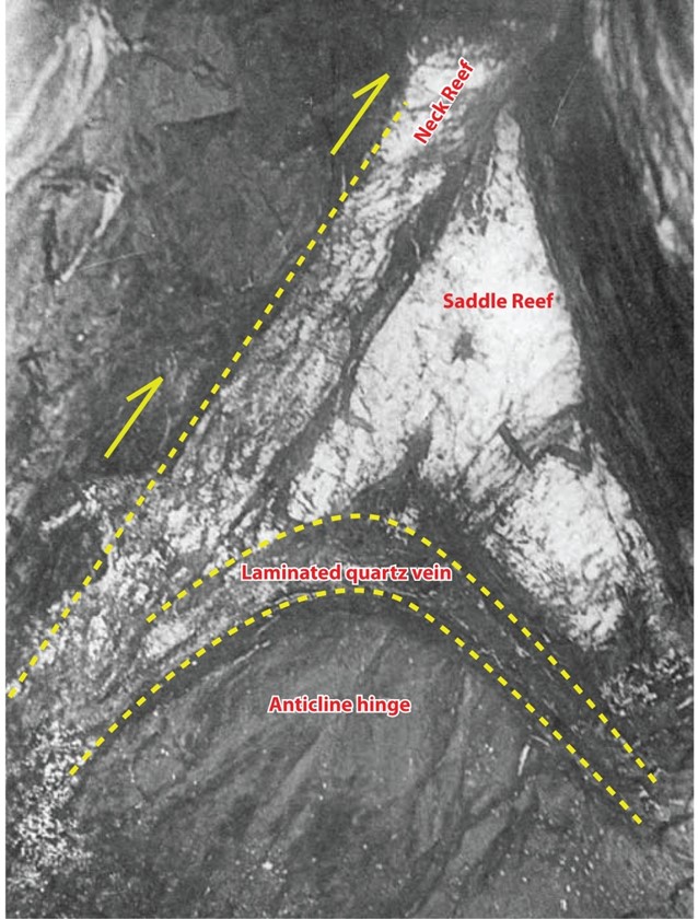 Figure 15 Saddle reef, east cross-cut, New Chum and Victoria Mine, Bendigo. Modified