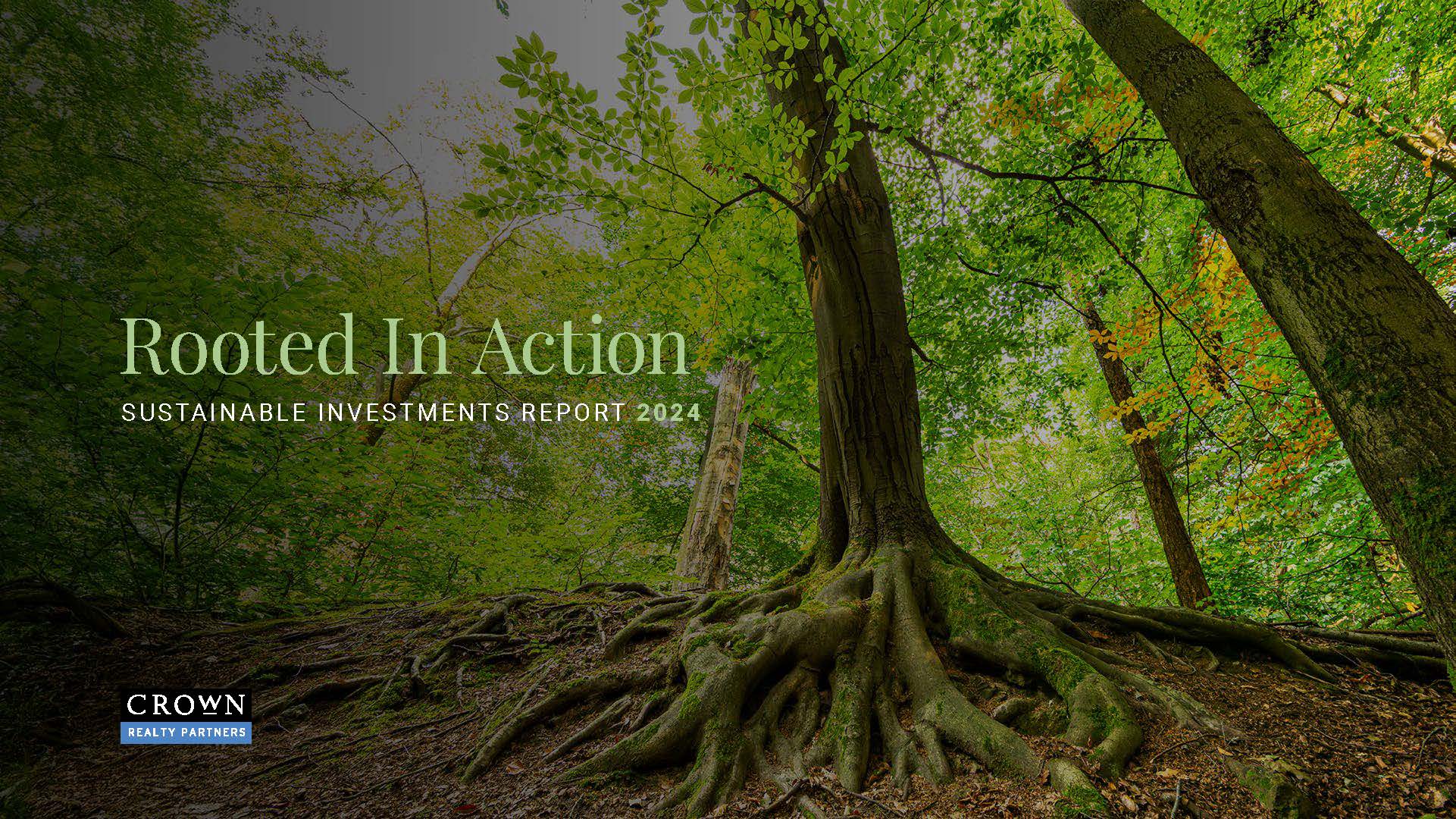 Rooted In Action