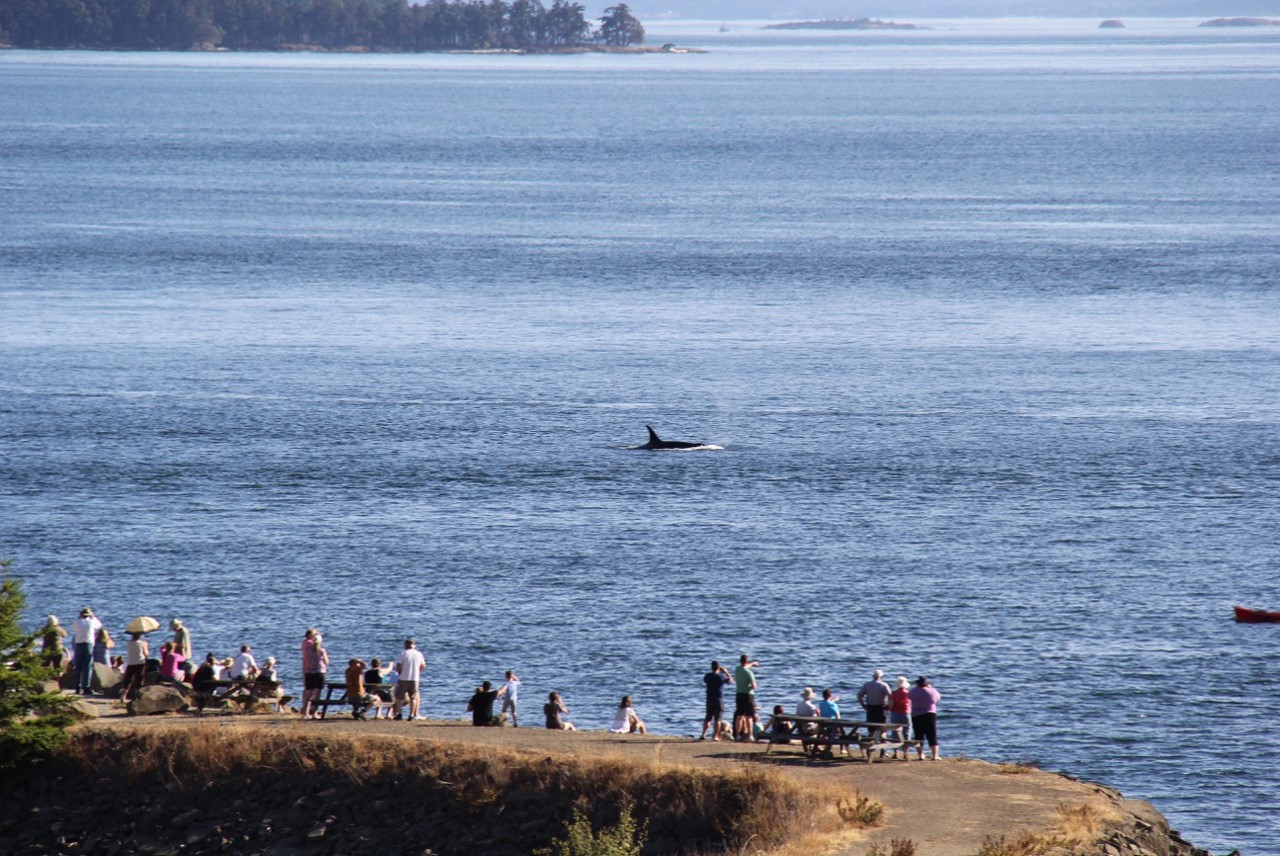 CitizenScience1_credit Ocean Wise