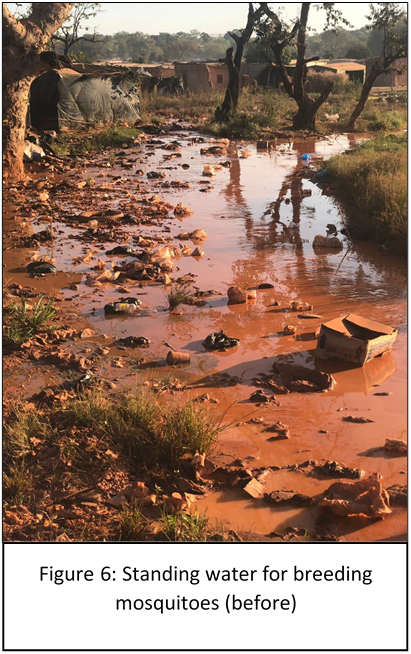 Standing water for breeding mosquitoes (before)