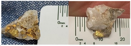 Image 1: Nunyerry North coarse gold in white translucent quartz veins from surface.