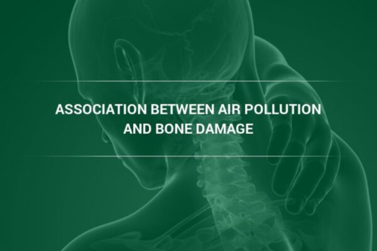 New Scientific Evidence Shows Link Between Poor Air Quality and Osteoporosis, Air Filtration Professionals Explain 