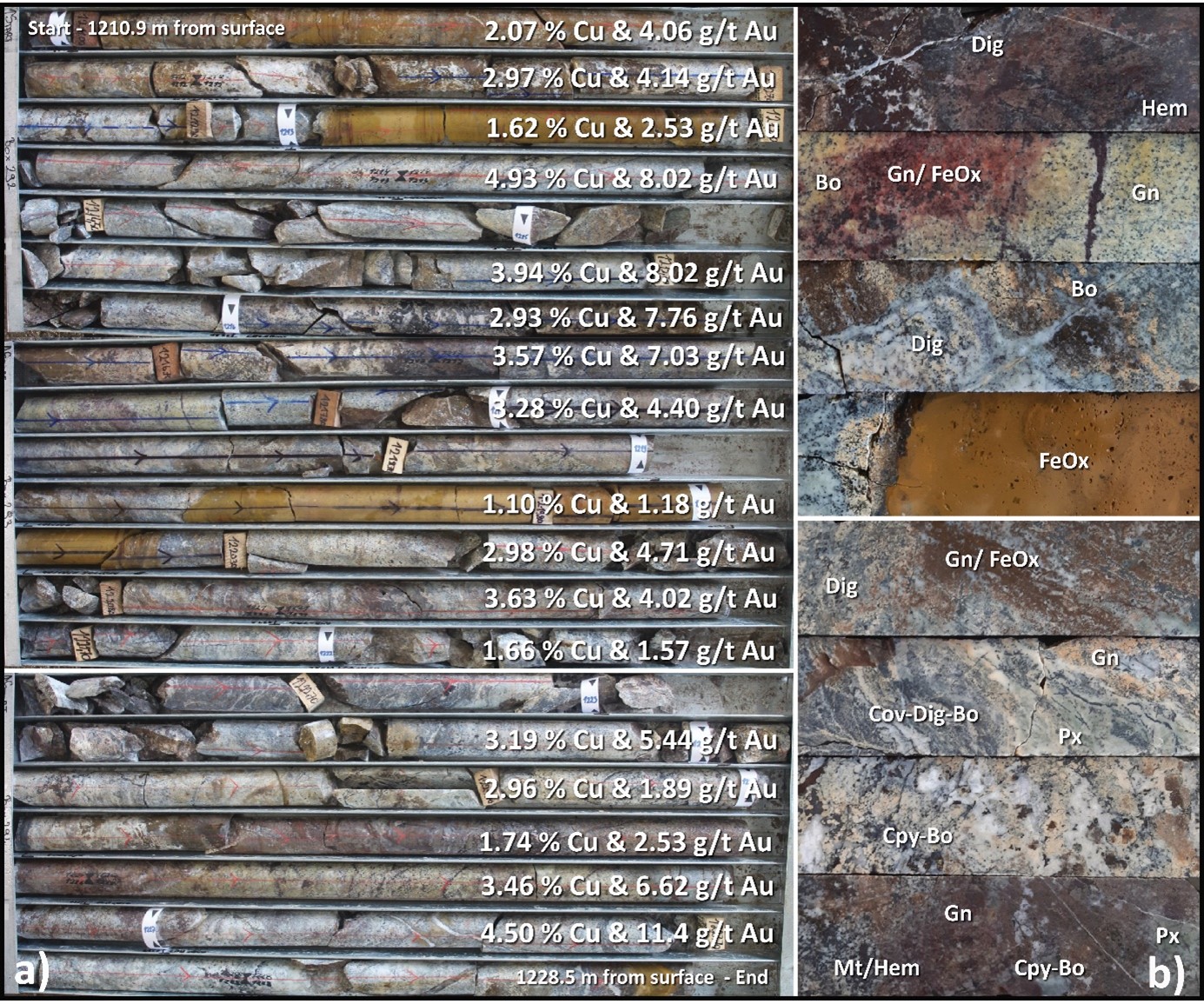 Images showing the core photos of copper-gold-silver skarn mineralization from hole DPDD026, taken from within the interval reporting 38 metres at 2.59% Cu, 4.05 g/t Au and 17 g/t Ag from 1,195 metres downhole.