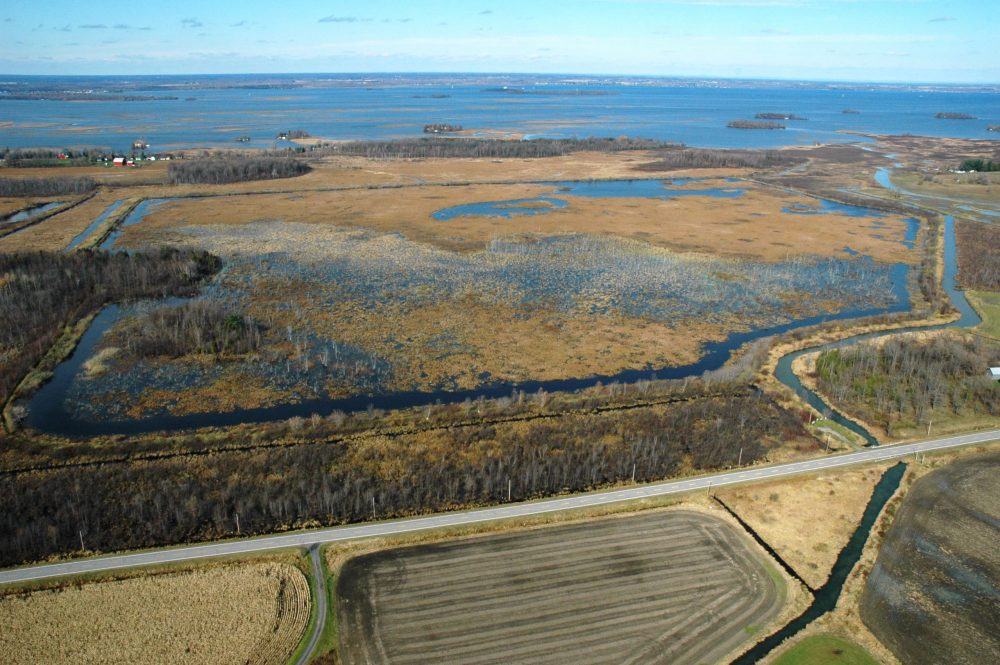 Aerial view of Lake Saint-Francois National Wildlife Area