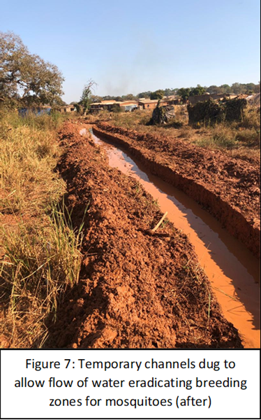 Temporary channels dug to allow flow of water eradicating breeding zones for mosquitoes (after)