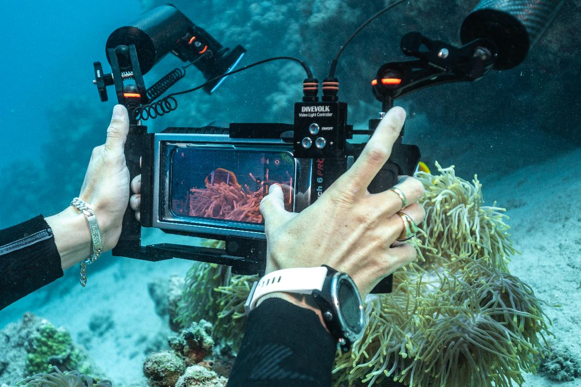 A diver using the SeaTouch 6 Pro Ultra Kit to take a photo by touchscreen while shooting clownfish underwater