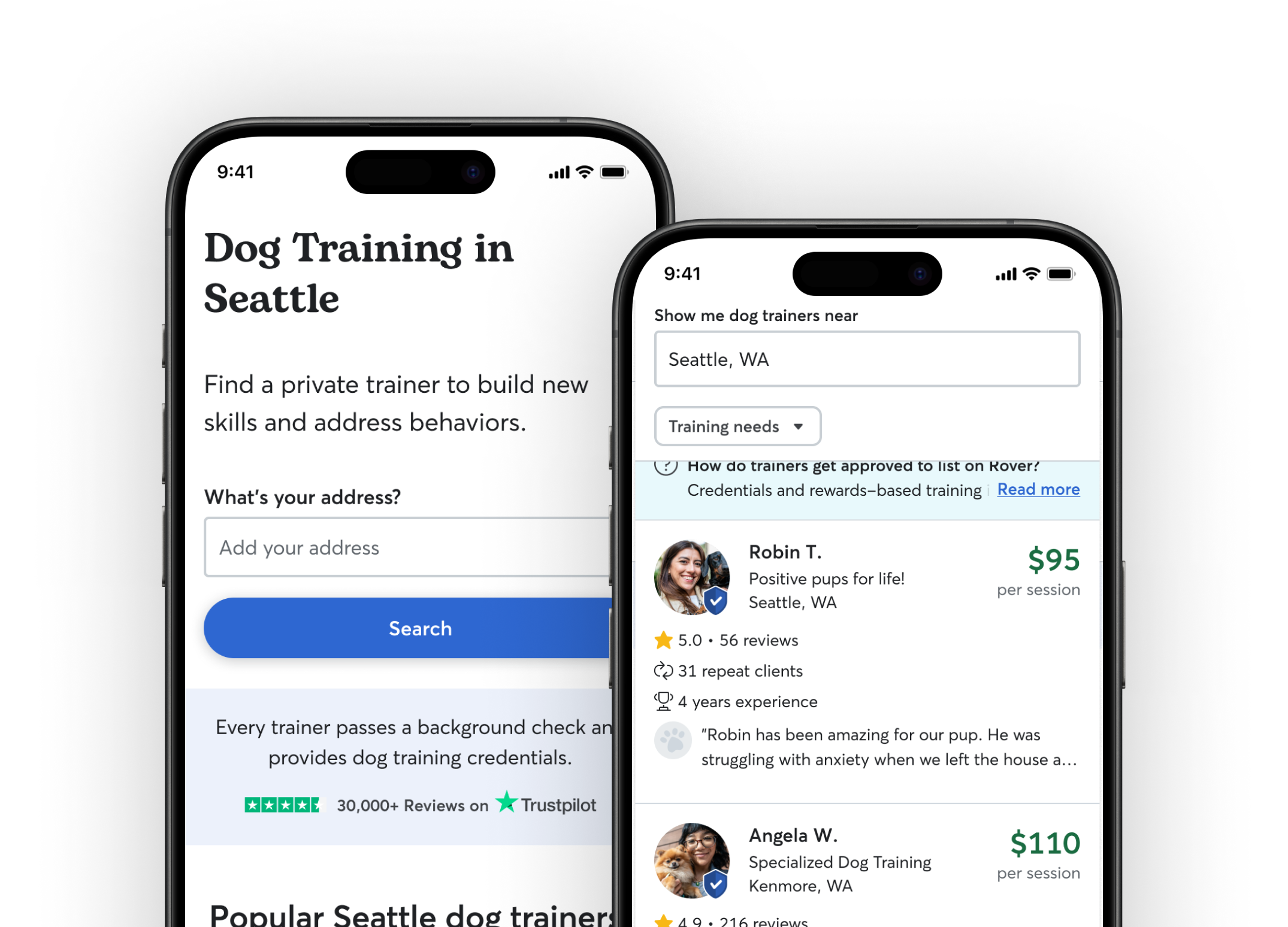 Rover Launches Dog Training