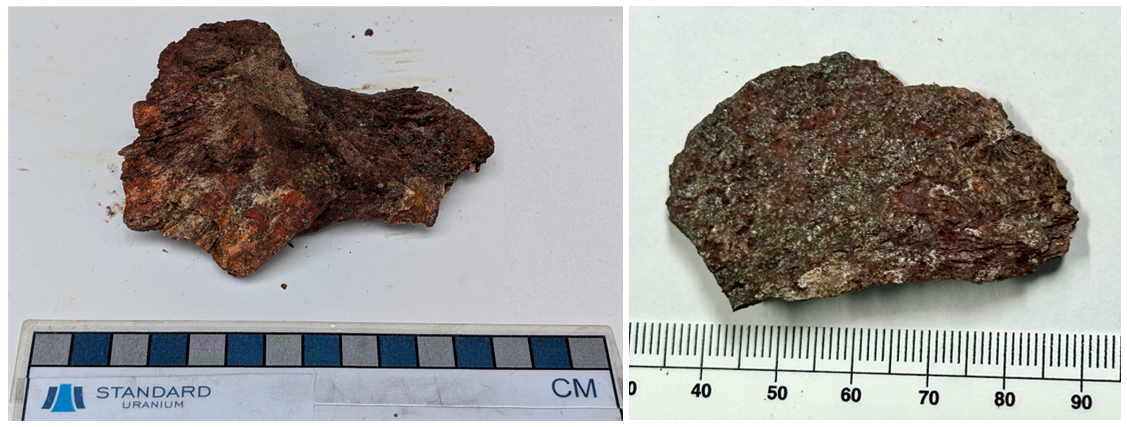 Manhattan Showing high-grade samples (Left) Hand sample 244959 - 5.14 wt.% U3O8 (Right) Hand sample 214010 - 8.10 wt.% U3O8.