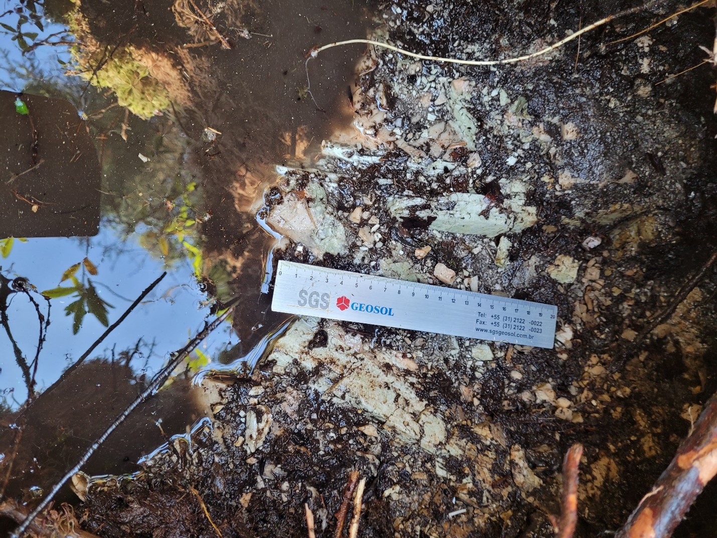 210928 FAT NR Image 3