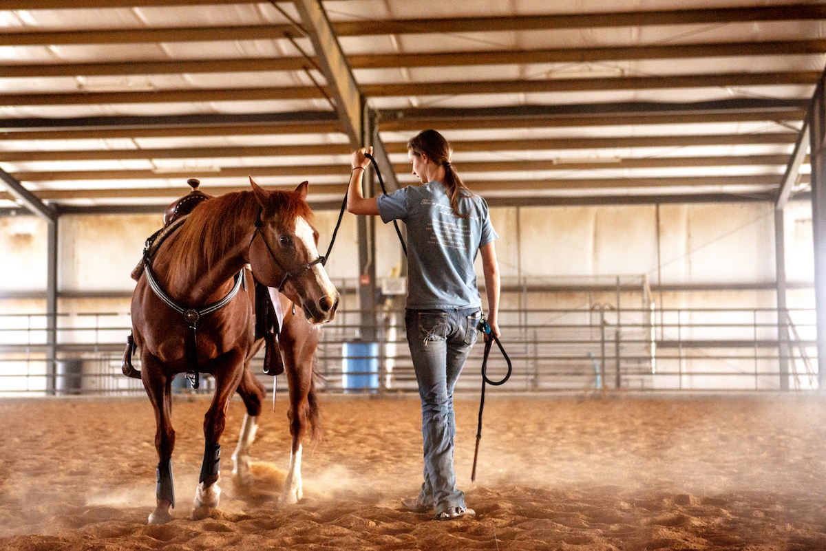 University Equine Center