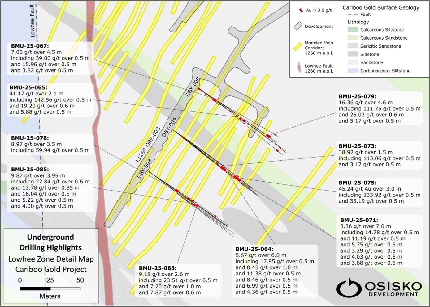 Figure 3 image