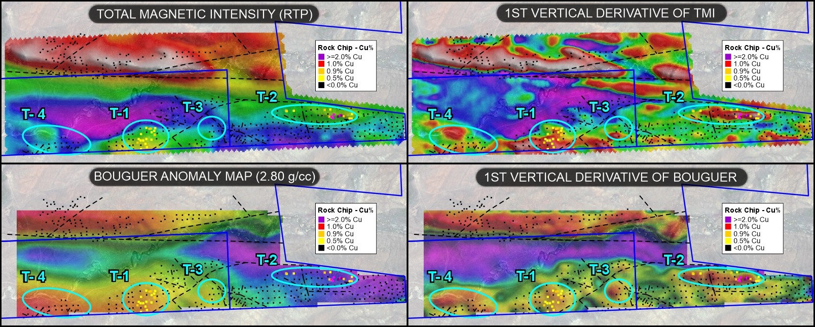 Magnetic and Gravity Data. Top two panels show magnetic data, bottom two panels show gravity data.