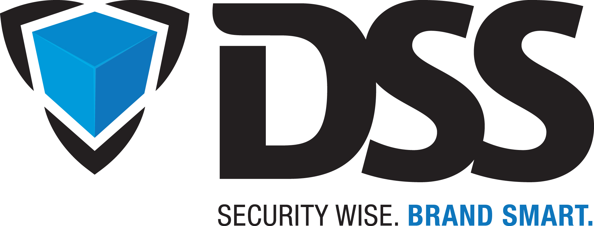 DSS_LogoHorizontal_color-large (1).jpg