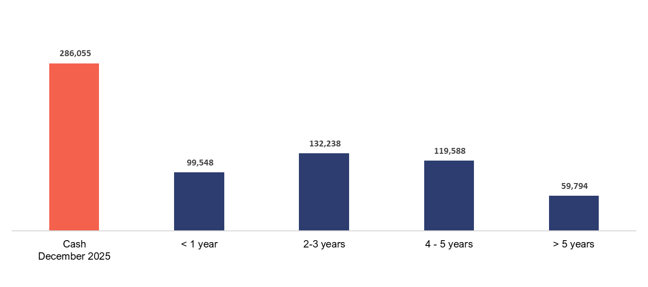 Debt Amortization Timeline (US$ thousand) image